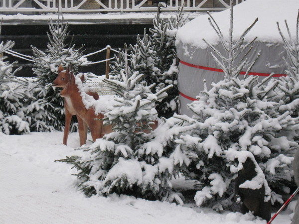 Marché de Noël Amiens 2010