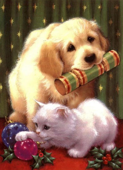 Chaton et chien de Noël