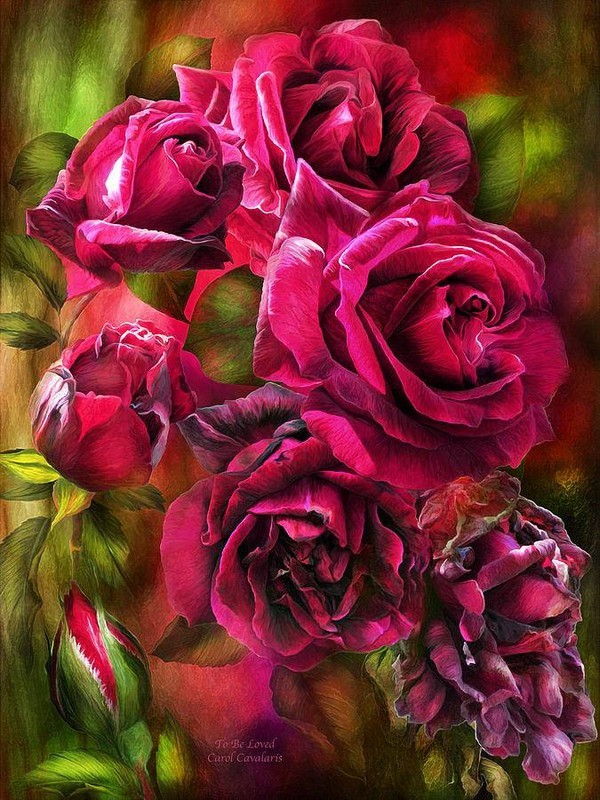 Fleurs de Carol Cavalaris