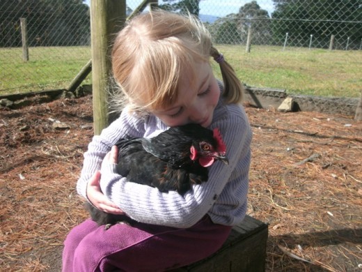 Enfant et leur animal