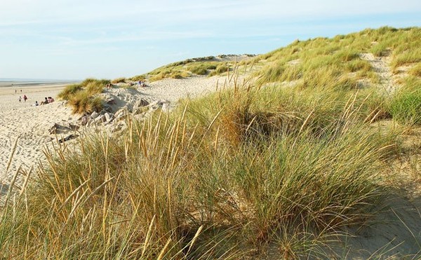 Plage du Nord - Pas de Calais