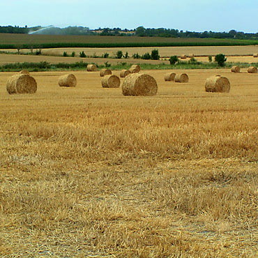 Paysages -Printemps -Eté