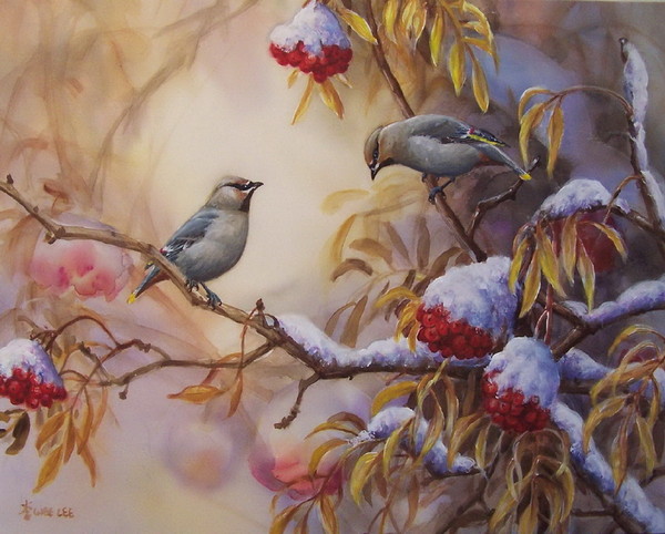 Superbes peintures d'oiseaux