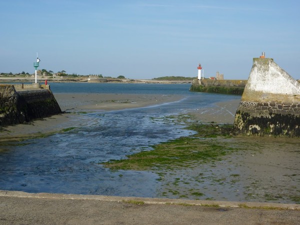 Plage de Basse Normandie (Manche)