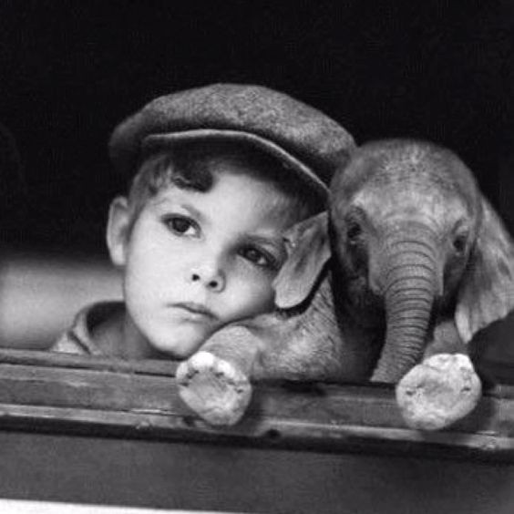 Enfant et leur animal