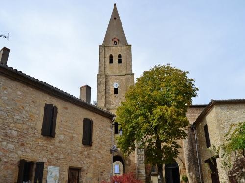 Beau village de Puycelsi