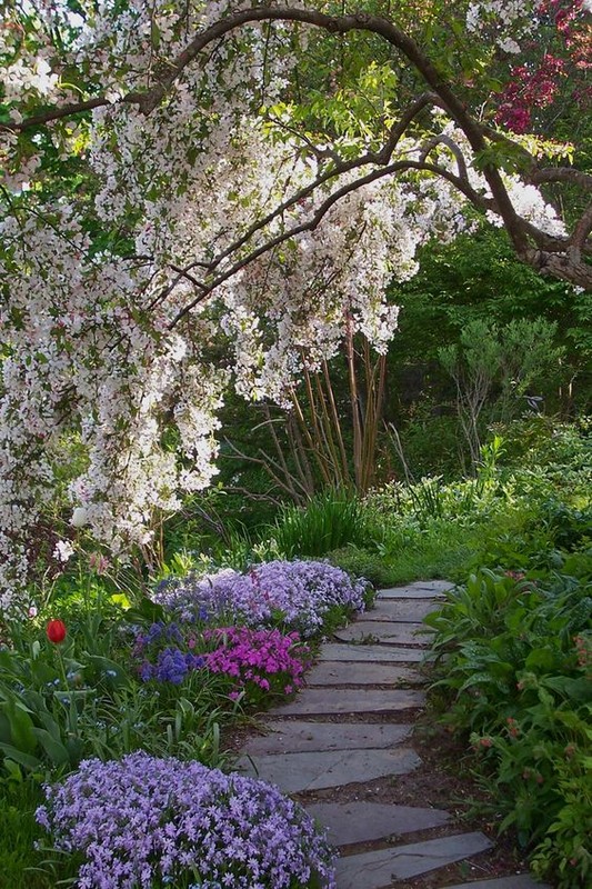 Parc et jardin  fleuris 