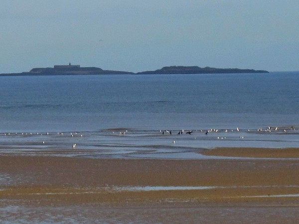 Plage de Basse Normandie (Manche)