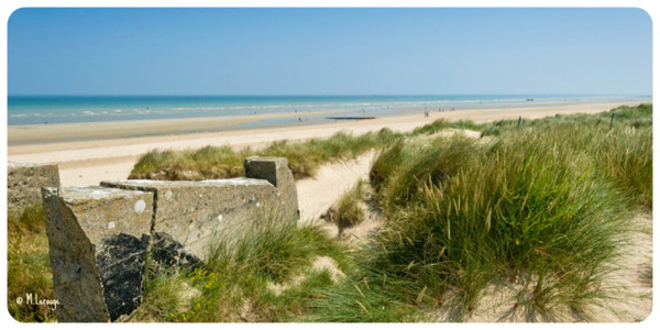 Plage de Basse Normandie (Manche)