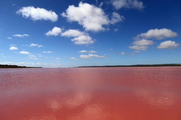 Les merveilles du monde naturel