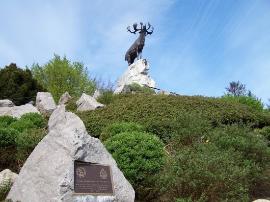 Beaumont-Hamel- 1ére guerre mondiale ,bataille de la Somme