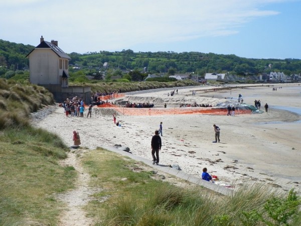 Plage de Basse Normandie (Manche)