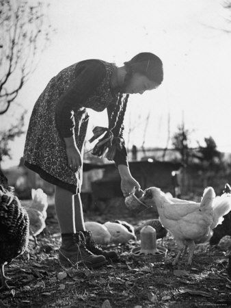 Le temps de l'innocence