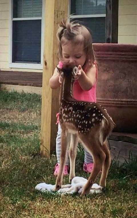 Enfant et leur animal