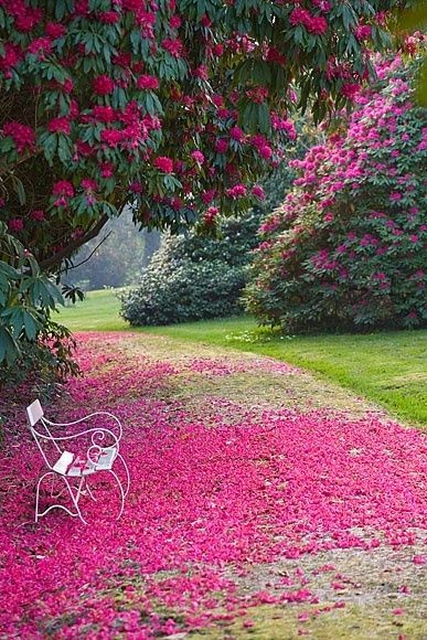 Parc et jardin fleuris