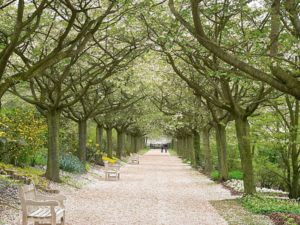 Paysages -Printemps -Eté