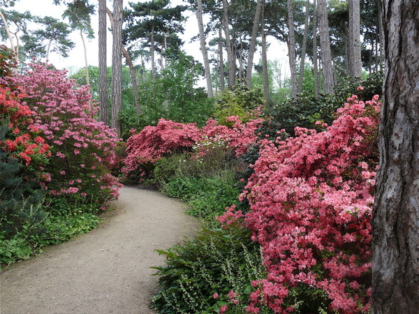 Paysages -Printemps -Eté