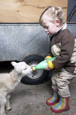 Enfant et leur animal