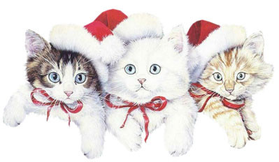 Chatons de Noël