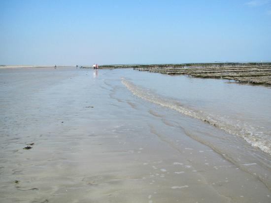 Plage de Basse Normandie (Manche)