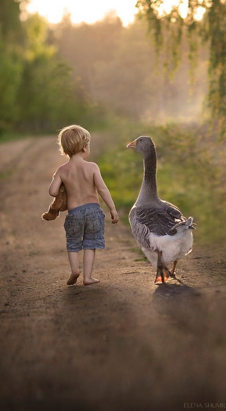 Enfant et leur animal