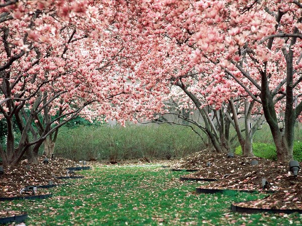 Paysages -Printemps -Eté