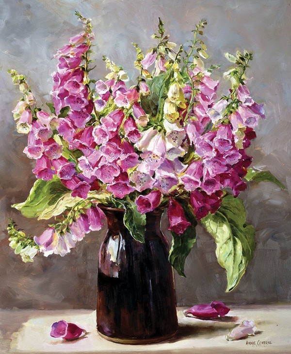 Fleurs de Anne Cotterill