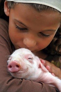 Enfant et leur animal