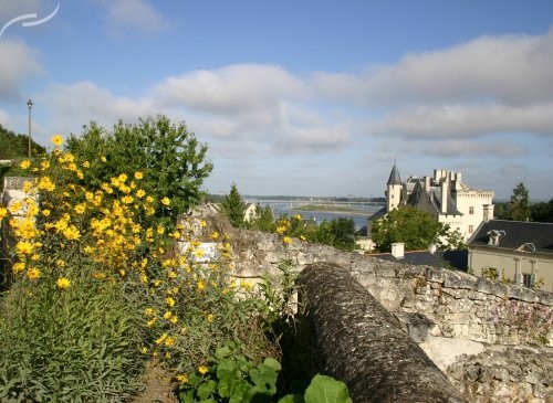 Beau village de Montsoreau