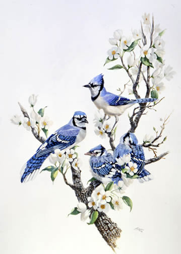 Oiseaux de Linda Picken