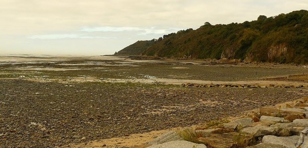 Plage de Basse Normandie (Manche)