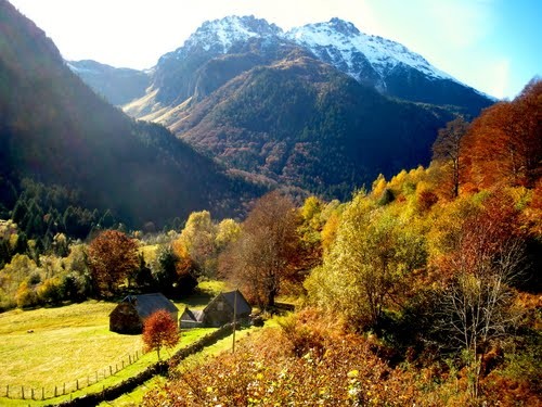 Paysage d'automne