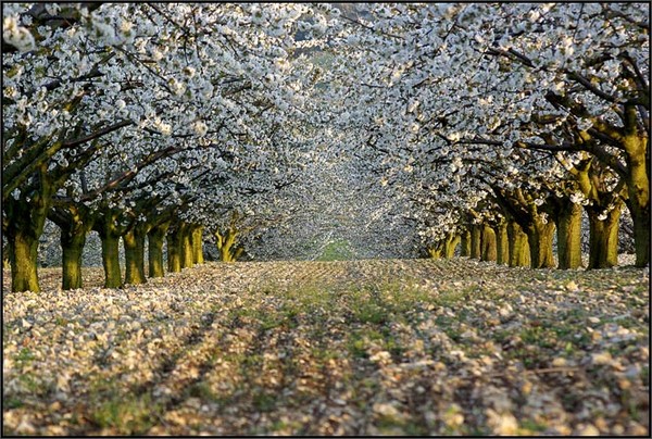 Paysages - Printemps-Eté