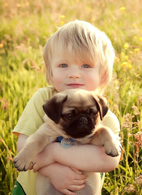 Enfant et leur animal