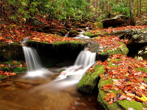 Paysage d'automne