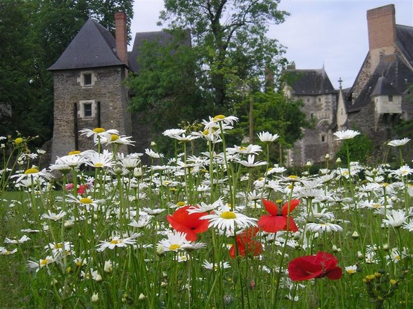 Paysages -Printemps -Eté