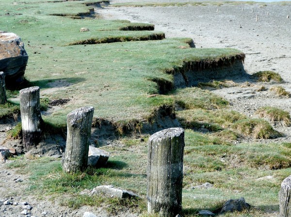 Plage de Basse Normandie (Manche)