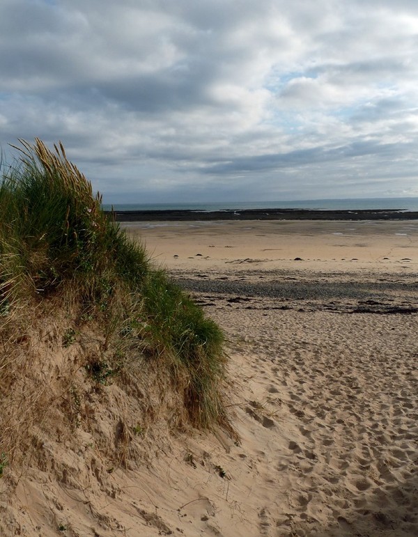 Plage de Basse Normandie (Manche)