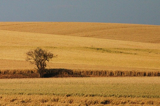 Paysages -Printemps -Eté