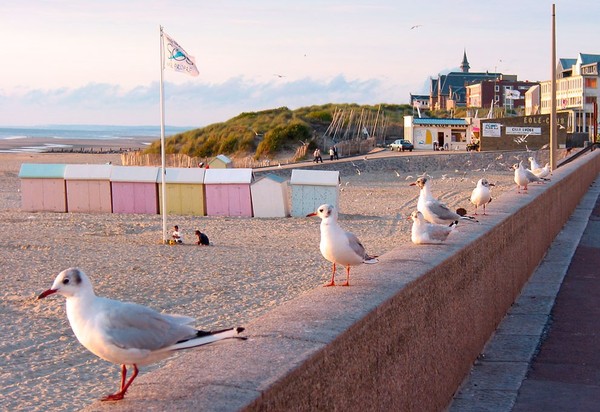 Plage du Nord - Pas de Calais