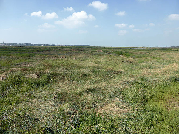 Plage du Nord - Pas de Calais