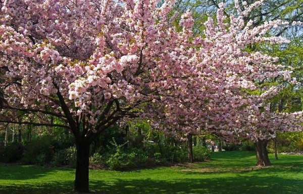 Paysages -Printemps -Eté