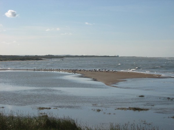 Plage du Nord - Pas de Calais