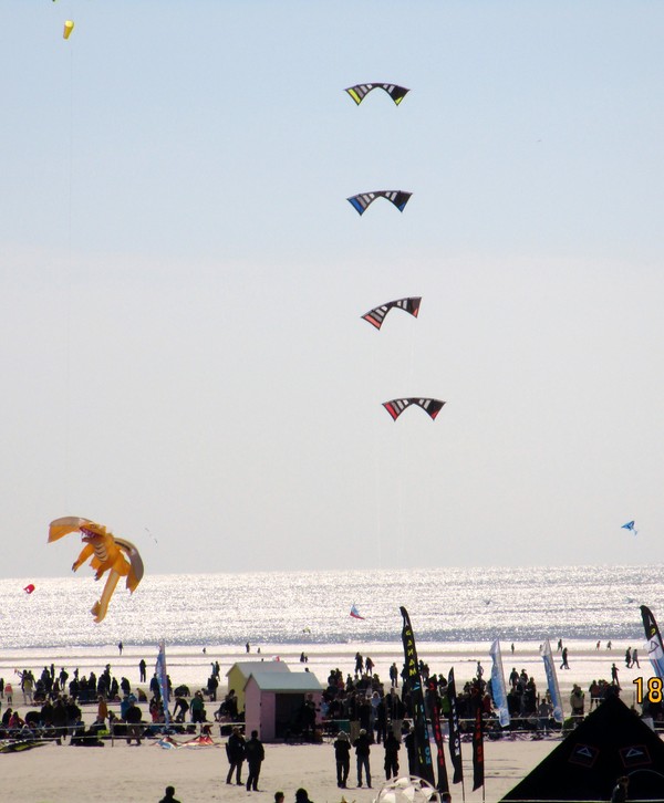 Berck sur Mer -Cerfs Volants 2015