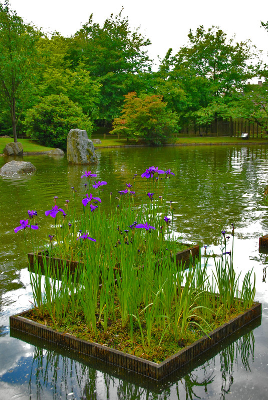 Paysages - Printemps-Eté