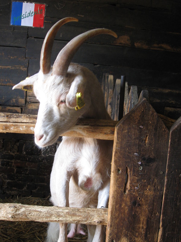 La ferme d'Antan - Creuse(2011)