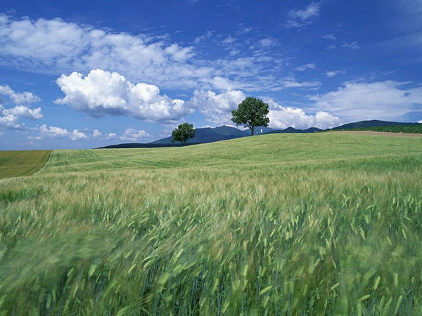 Paysages -Printemps -Eté