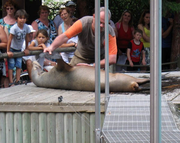 Zoo d' Amiens- 2012