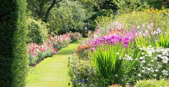 Jardin  fleuri