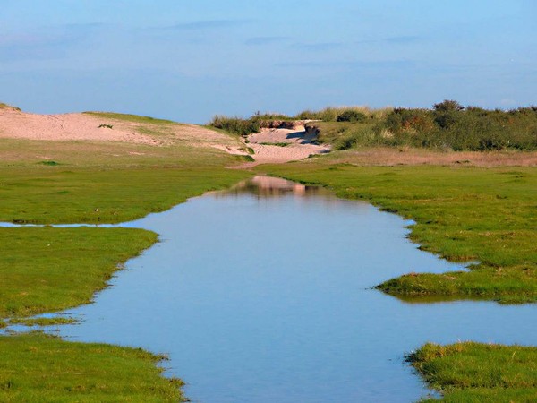 Plage du Nord - Pas de Calais